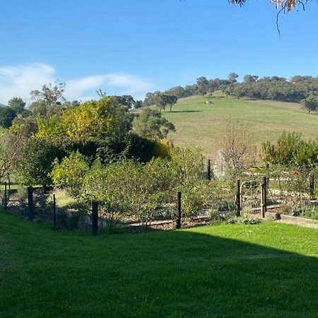 Mount Hope Estate Vineyard Daire Dixons Creek Dış mekan fotoğraf