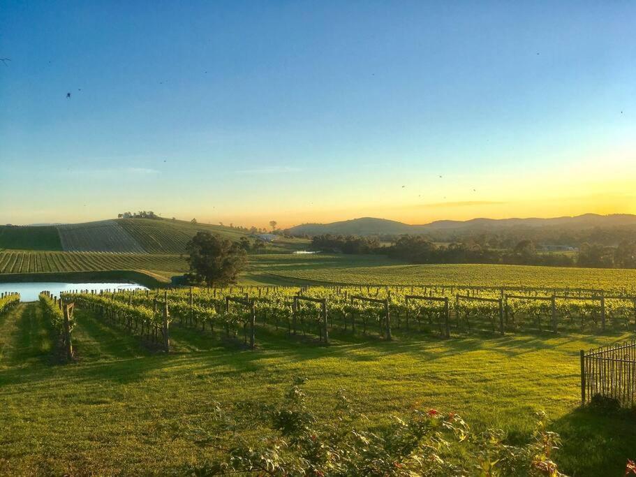 Mount Hope Estate Vineyard Daire Dixons Creek Dış mekan fotoğraf